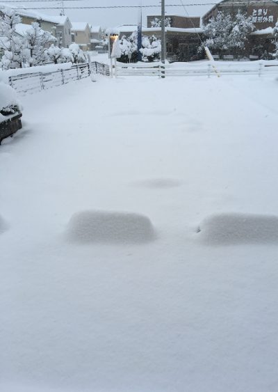 雪２　画像